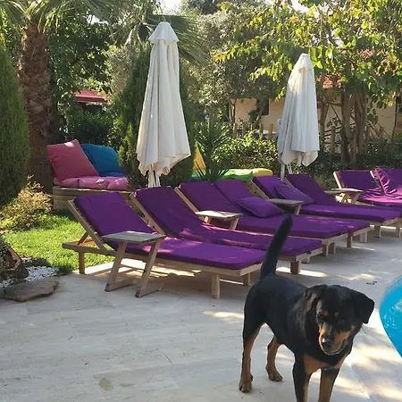 Doga - Adult Only +15