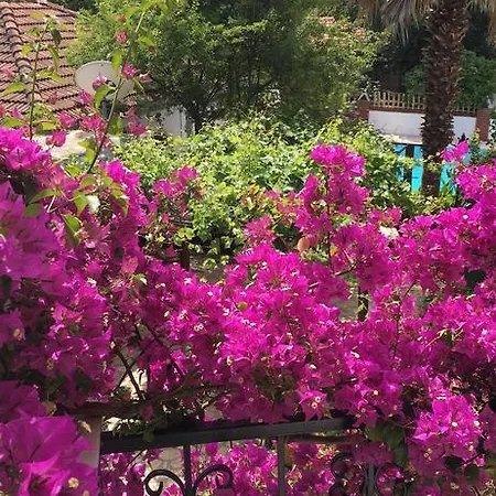 Doga - Adult Only +15 Guest house Dalyan